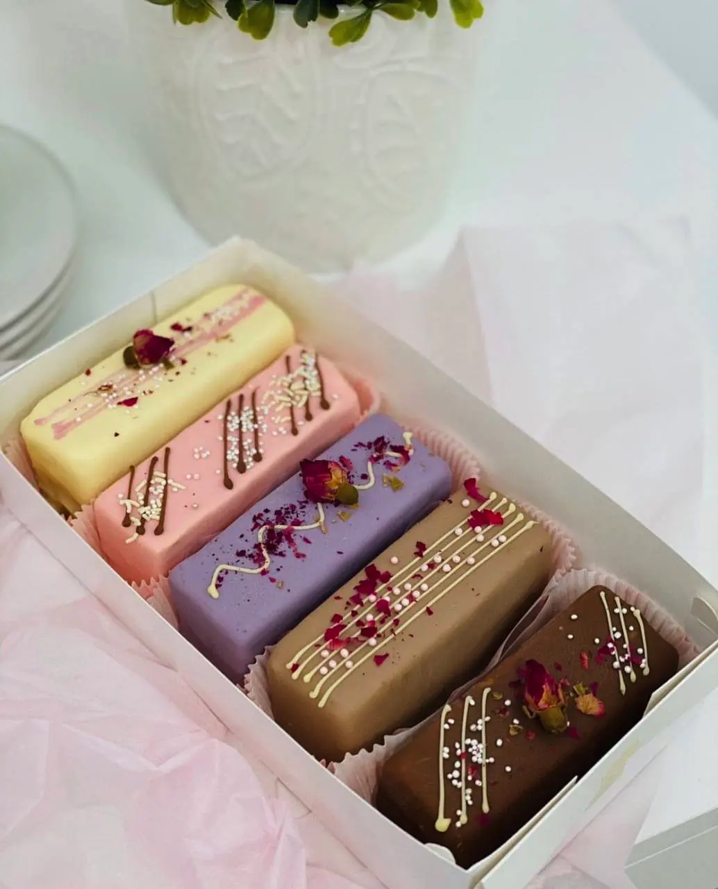 photo_2025-01-23 00.10.56